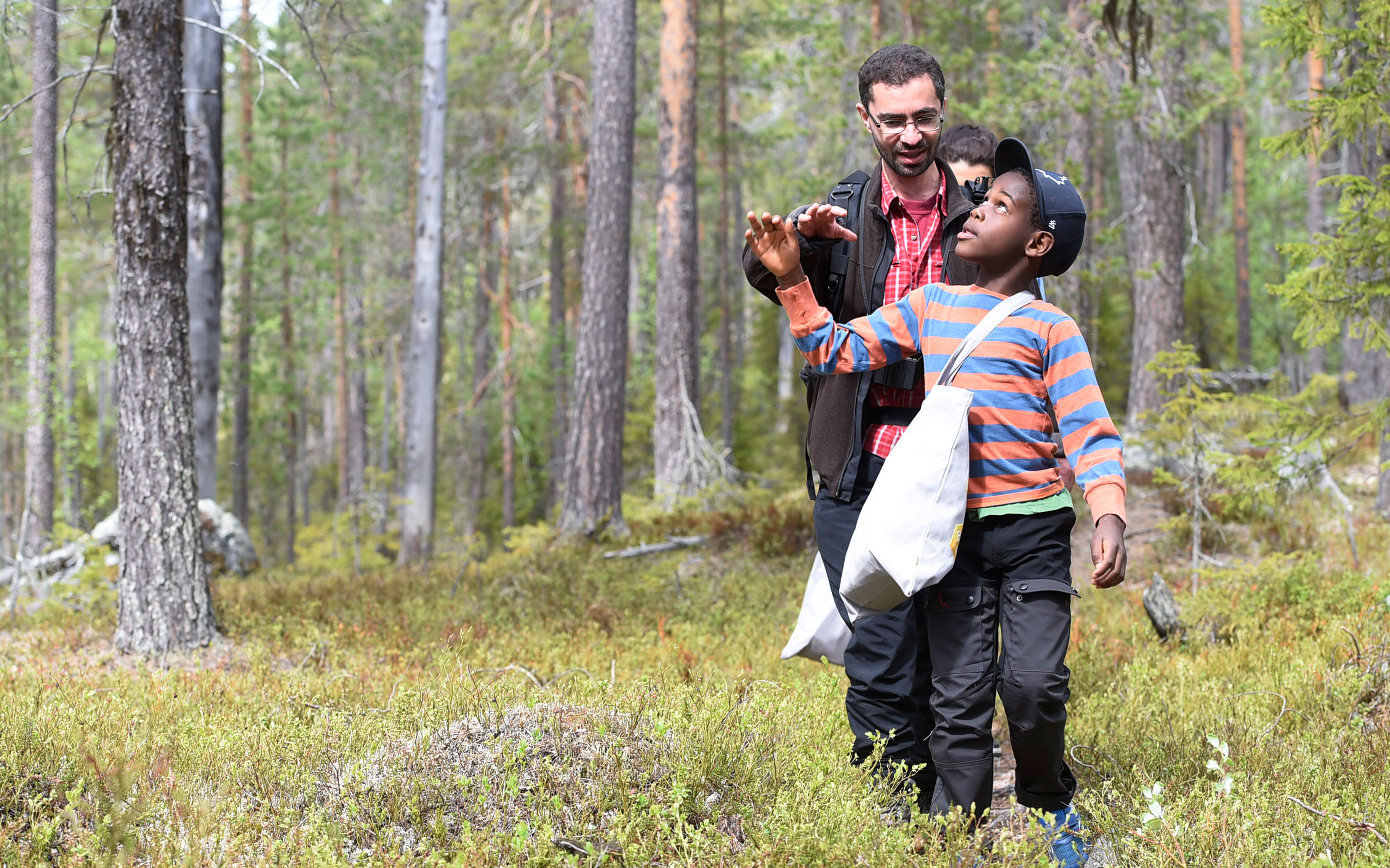Ein Mann und ein Kind gehen im Blaubeerreis spazieren.