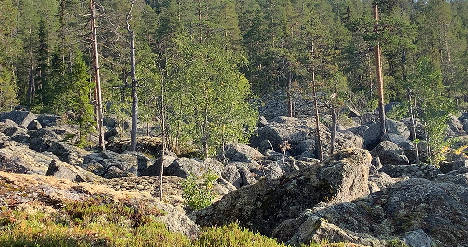 Block Meer und riesige Steinblöcke vor einem kargen Wald.