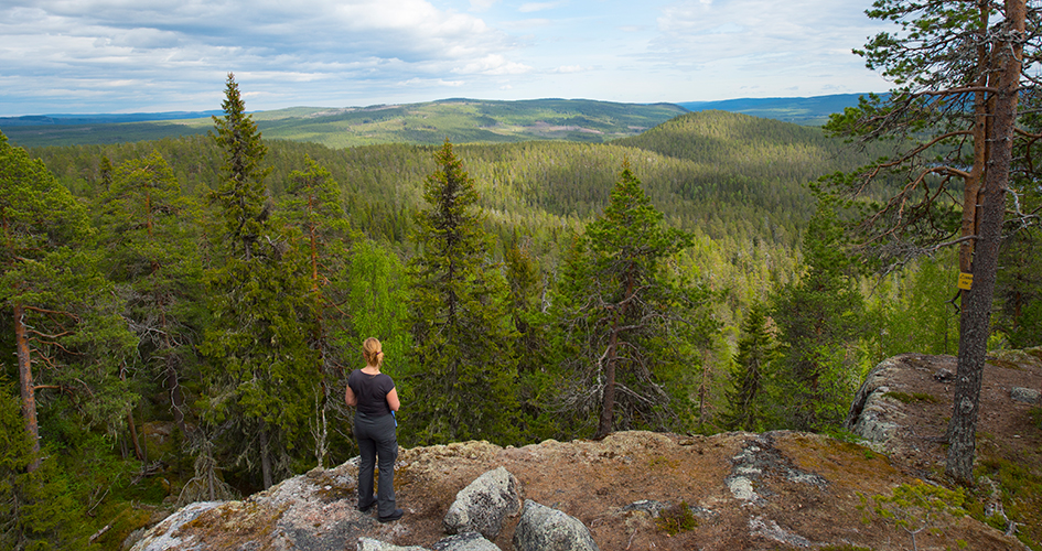 A woman is standing in front of a precipice with a forest below.
