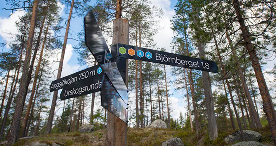 Vägvisare i Björnlandets nationalpark.