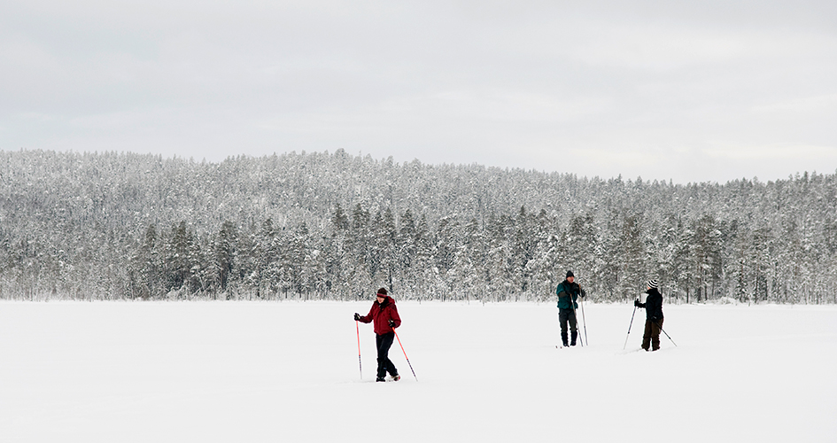 Three cross-country skiers in dizzying snow.