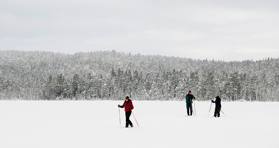 Tre längdskidåkare i yrande snö.