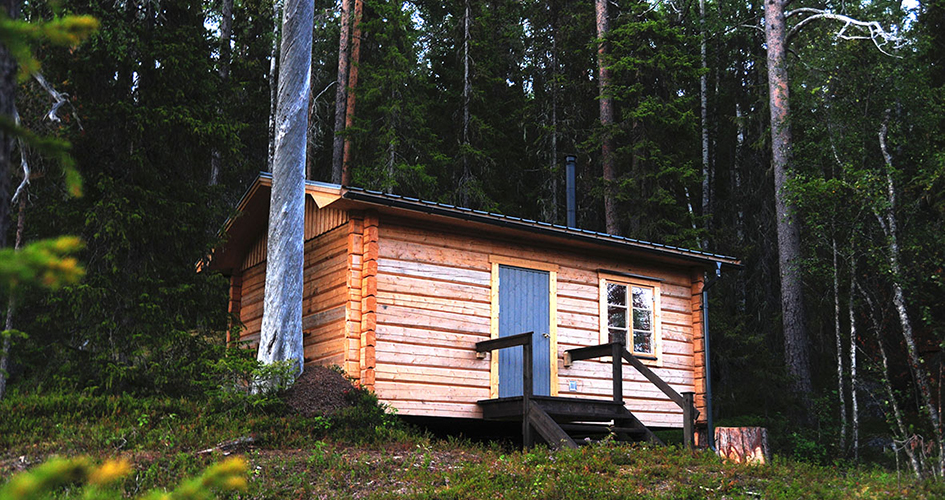 Die Hütte der Schwiegermutter, ein Holzhaus, liegt neben einem Nadelwald.