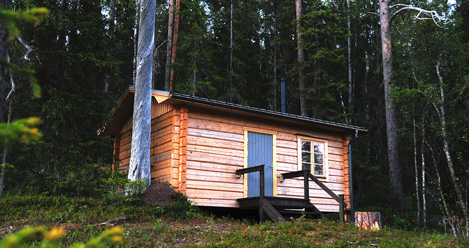 Svärmorskojan, en trästuga ligger intill en barrskog.