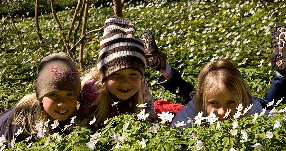 Three children looking up among wood anemones.