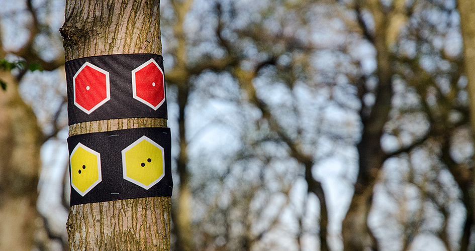 Gelbe und rote Wegmarkierung auf einem Baumstamm.