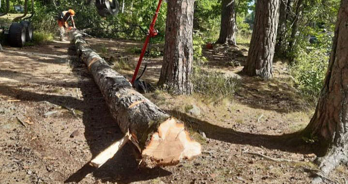 /globalassets/farnebofjarden/aktuellt-945x500/farnebofjarden_nationalpark_trad.jpg