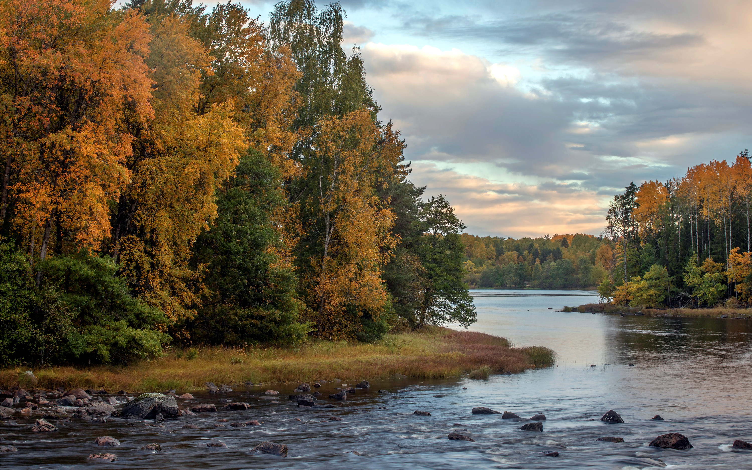 Vy över älv och skog