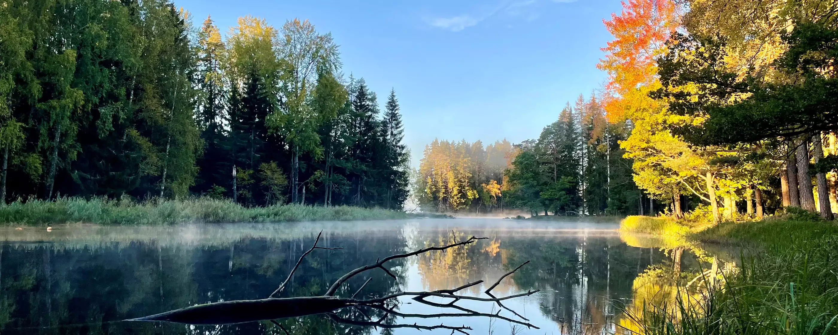 Färnebofjärden Farnebofjarden Utsikt 3000x1875.jpg?format=webp&width=2800&mode=crop&heightratio=0