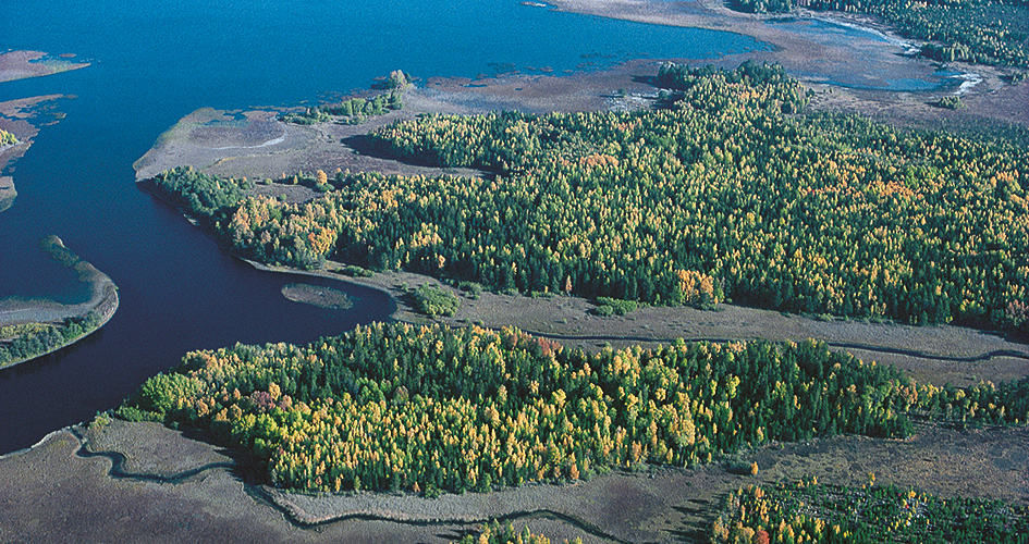 Flygfoto över älvlandskap.