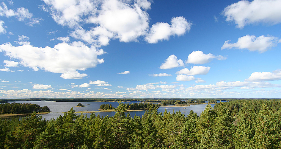 Klarblå himmel med vita moln över trädtoppar och älvlandskap.