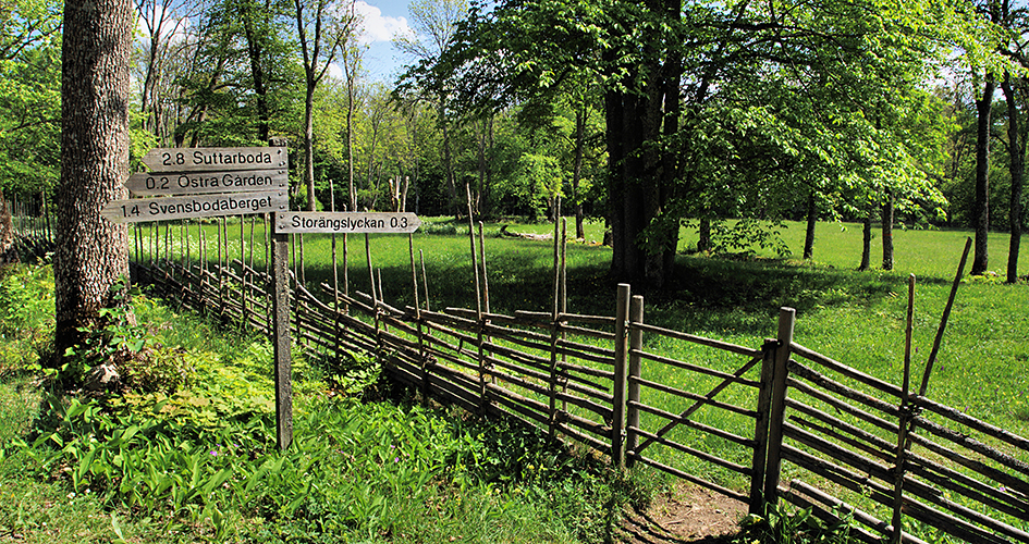 Ein Holzschild und Zaun von einer Wiese.