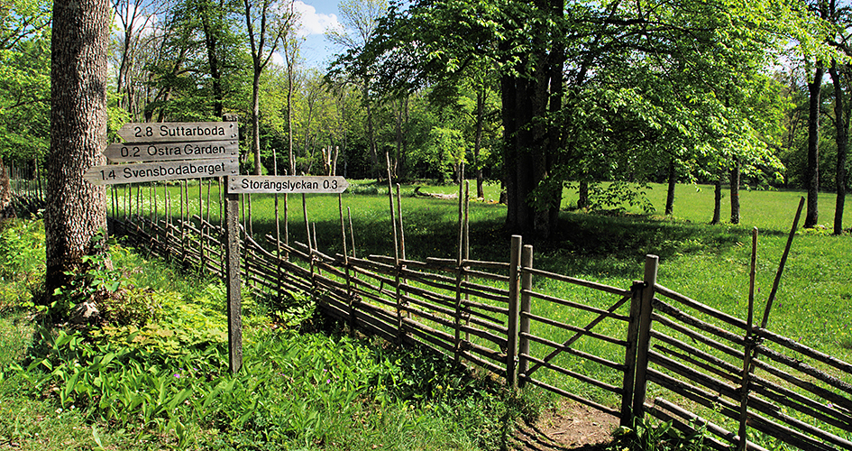 A wooden sign and fence by a meadow.