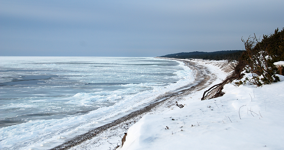 Strand i vintertid, Gotska Sandön nationalpark.