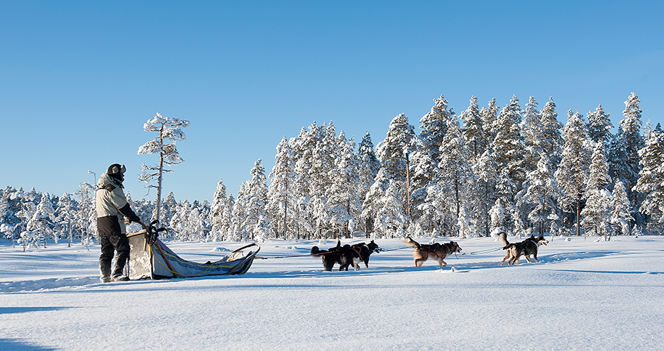 En person kör en hundspann genom snön.