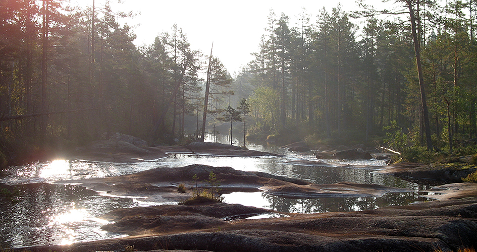 Svartån.