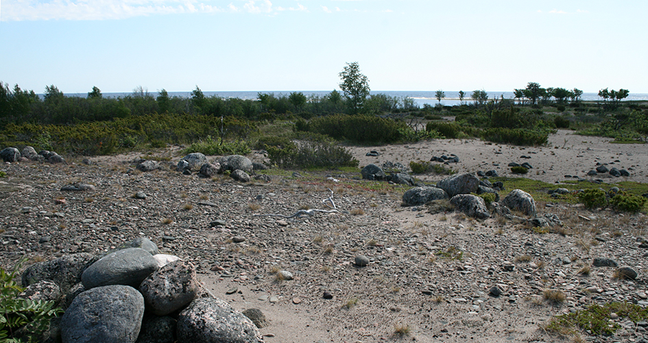 Sandstrand med stenar och växtlighet.