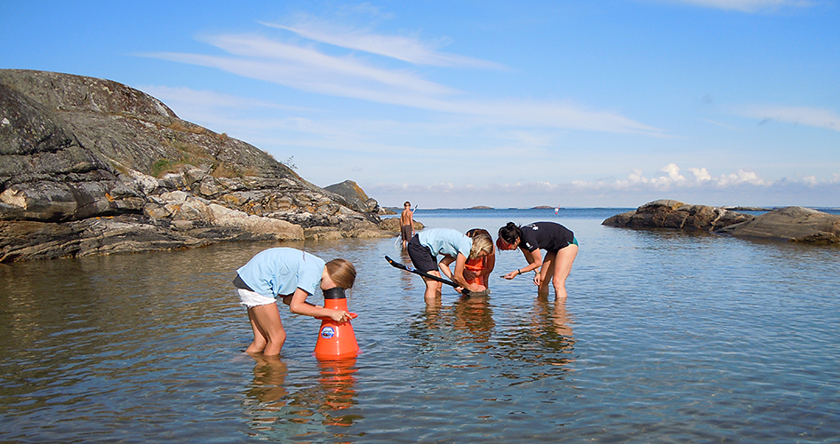 Personer på strandexkursion.