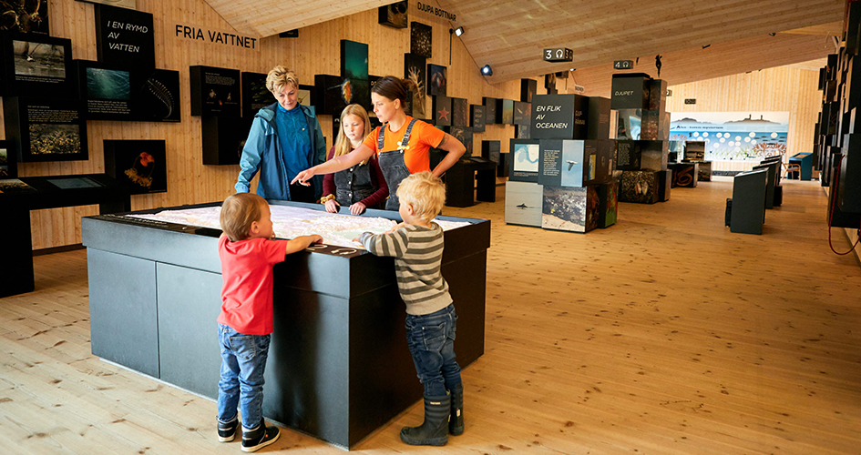 Två vuxna och tre barn på en utställning i Naturum