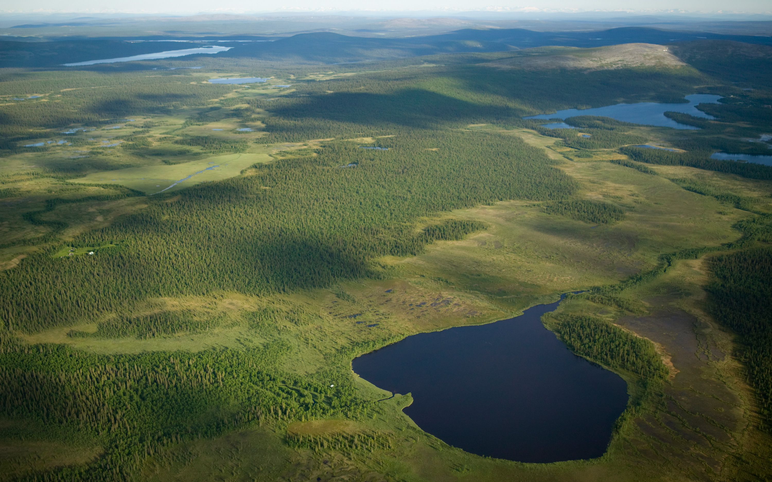 Flygfoto över landskap i Muddus nationalpark