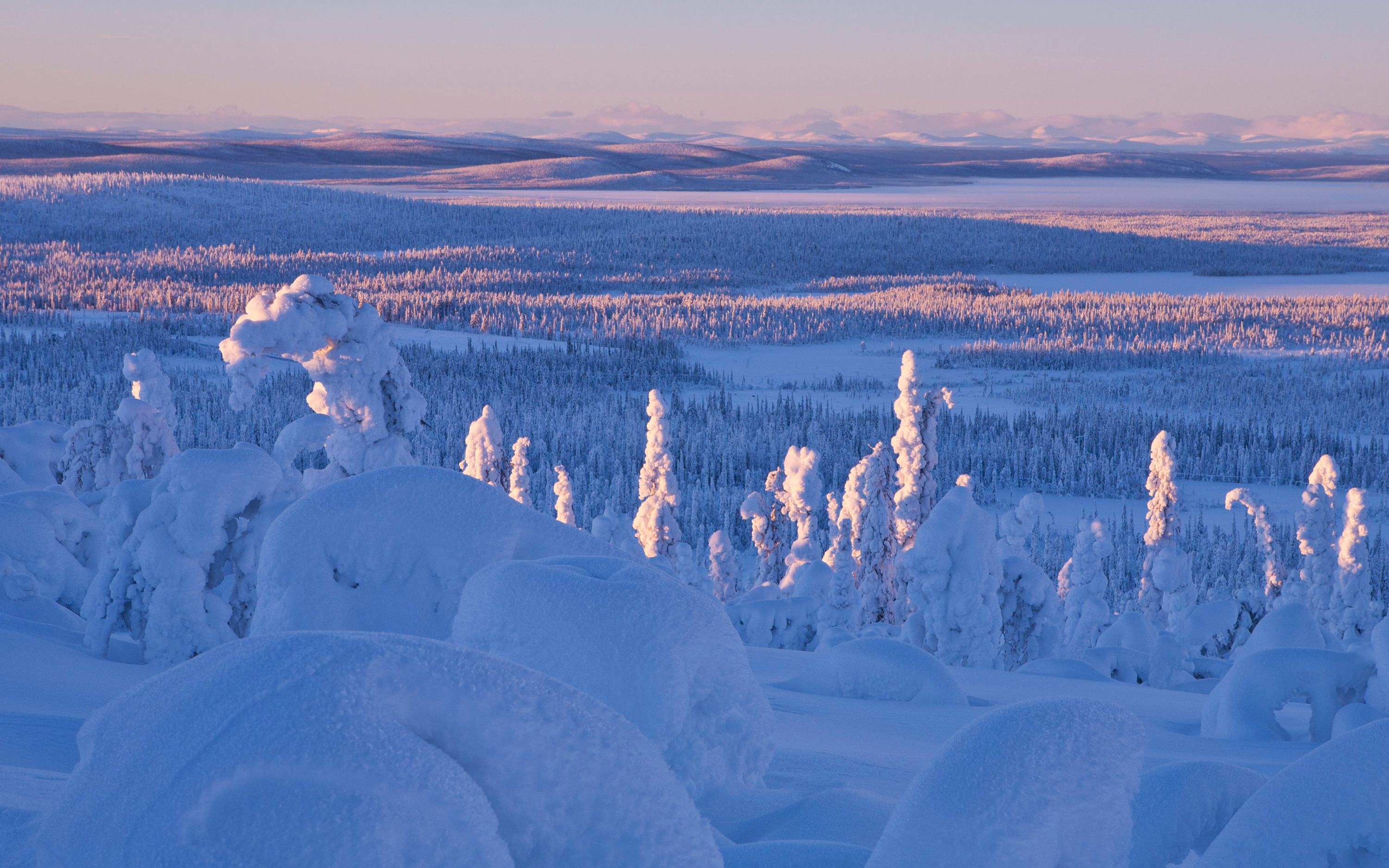 Vinterlandskap i Muddus nationalpark