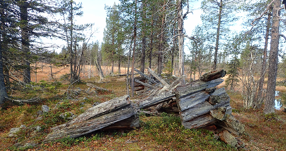 Husgrund myr i bakgrund