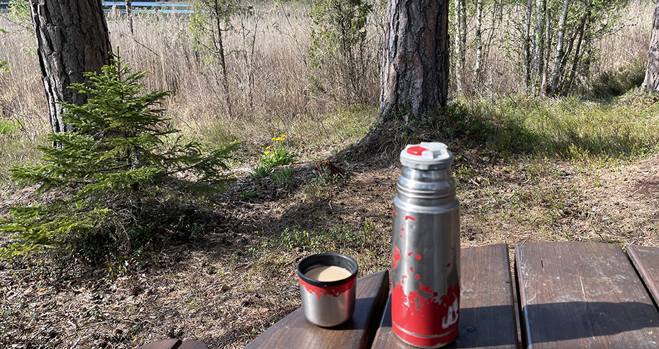 Kaffetermos på rastbord med träd i bakgrunden