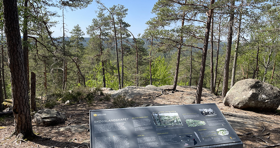 Skylt om skogslandskapet uppe på Idhöjden