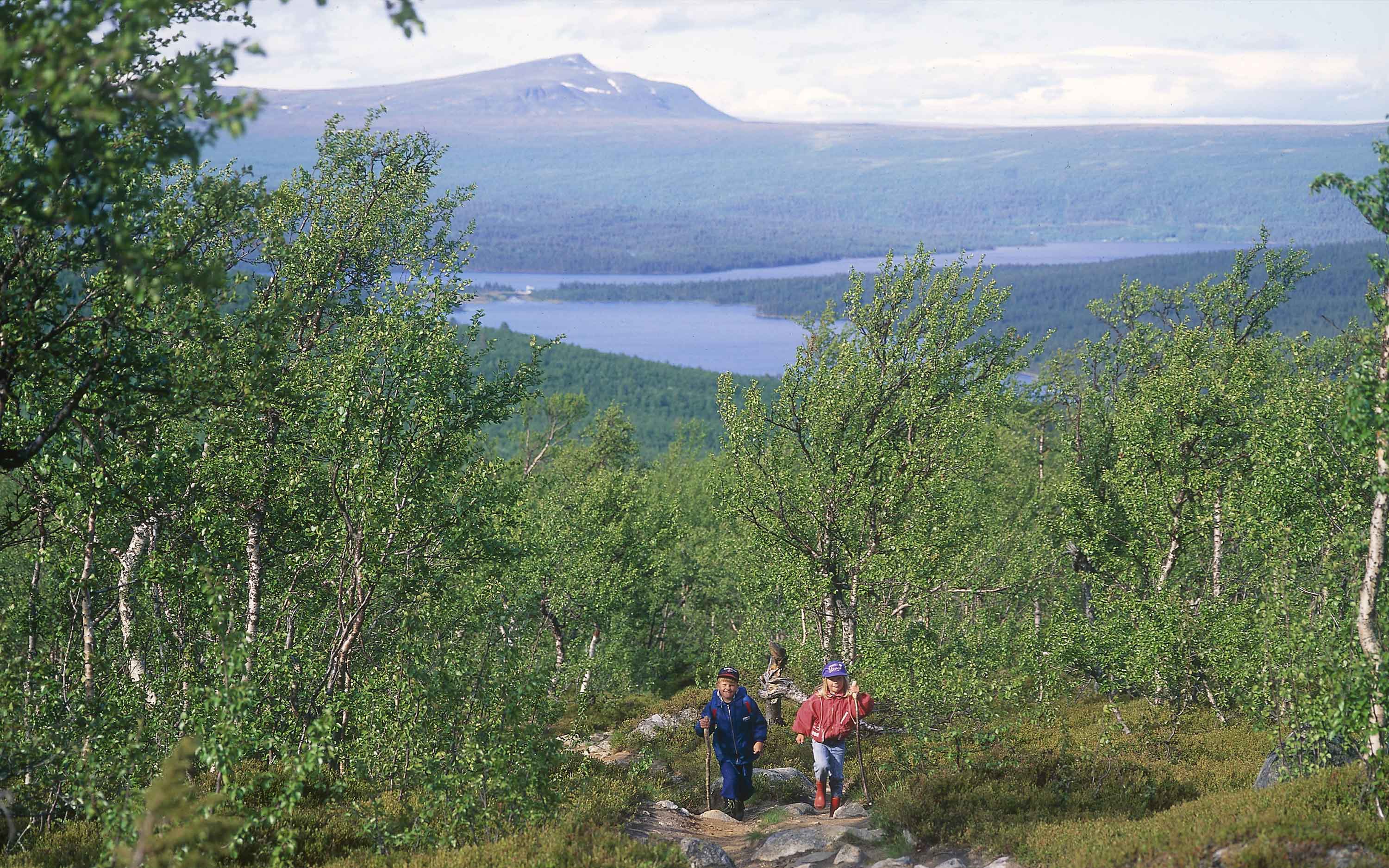 Två barn på en stig, i bakgrunden skog, fjäll och vatten.
