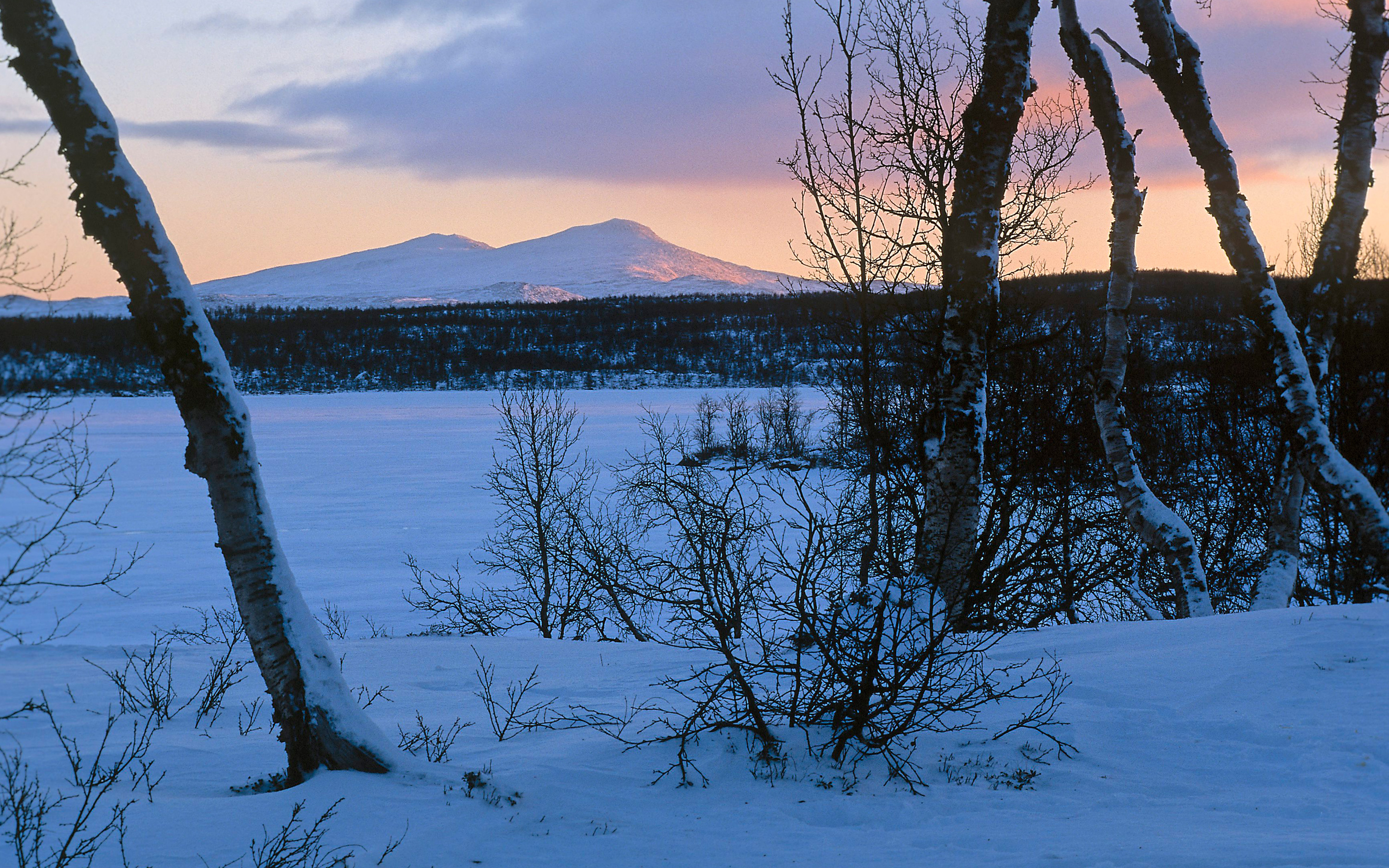 Fjäll och vinterlandskap