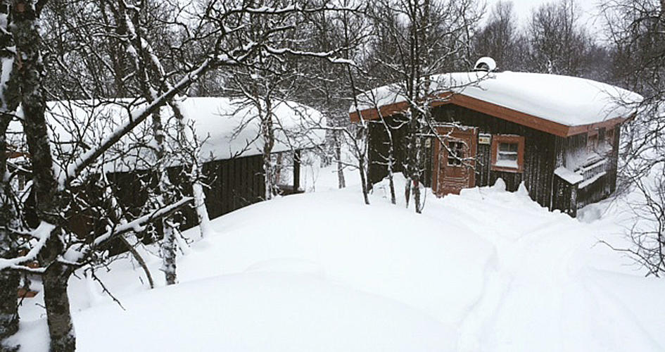 A cottage in a snowy landscape. 