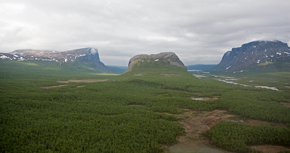 Flygfoto över stor grön skog. Tre fjäll tornar upp sig bakom - Nammásj Rapadalen, Sarek Nationalpark 