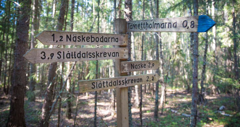 Wooden signs with directions.