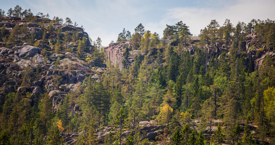 View of Slåttdalsskrevan with forest in front.