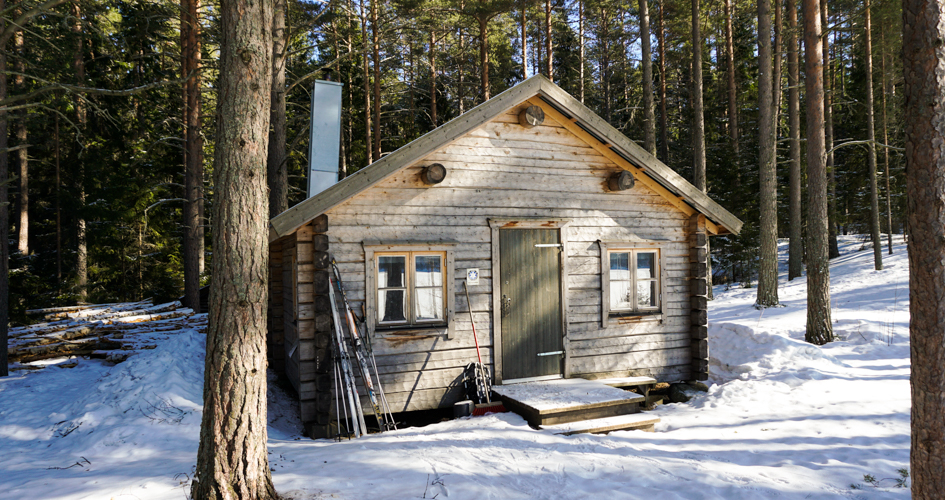 A wooden cabin surrounded by trees and snow. There are skies outside the door.