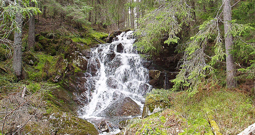 Ett litet vattenfall i skogen.