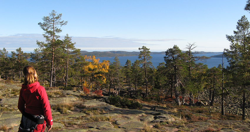 En kvinna står och blickar ut över utsikten av skog och hav.