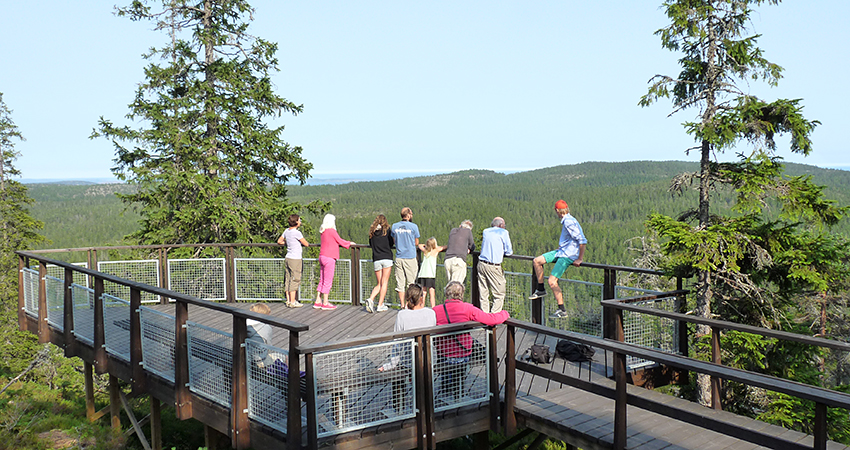 En grupp människor står på en utsiktsplattform. Nedanför ligger skogen.