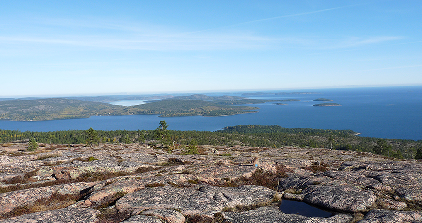 Utsikt från Slåttdalsberget, havet och skogen syns nedanför.