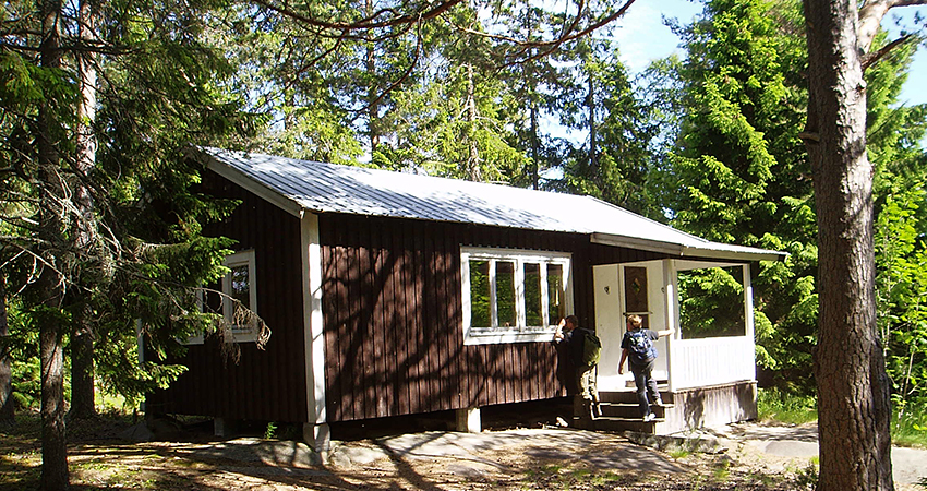 En brun stuga i en skogsglänta.