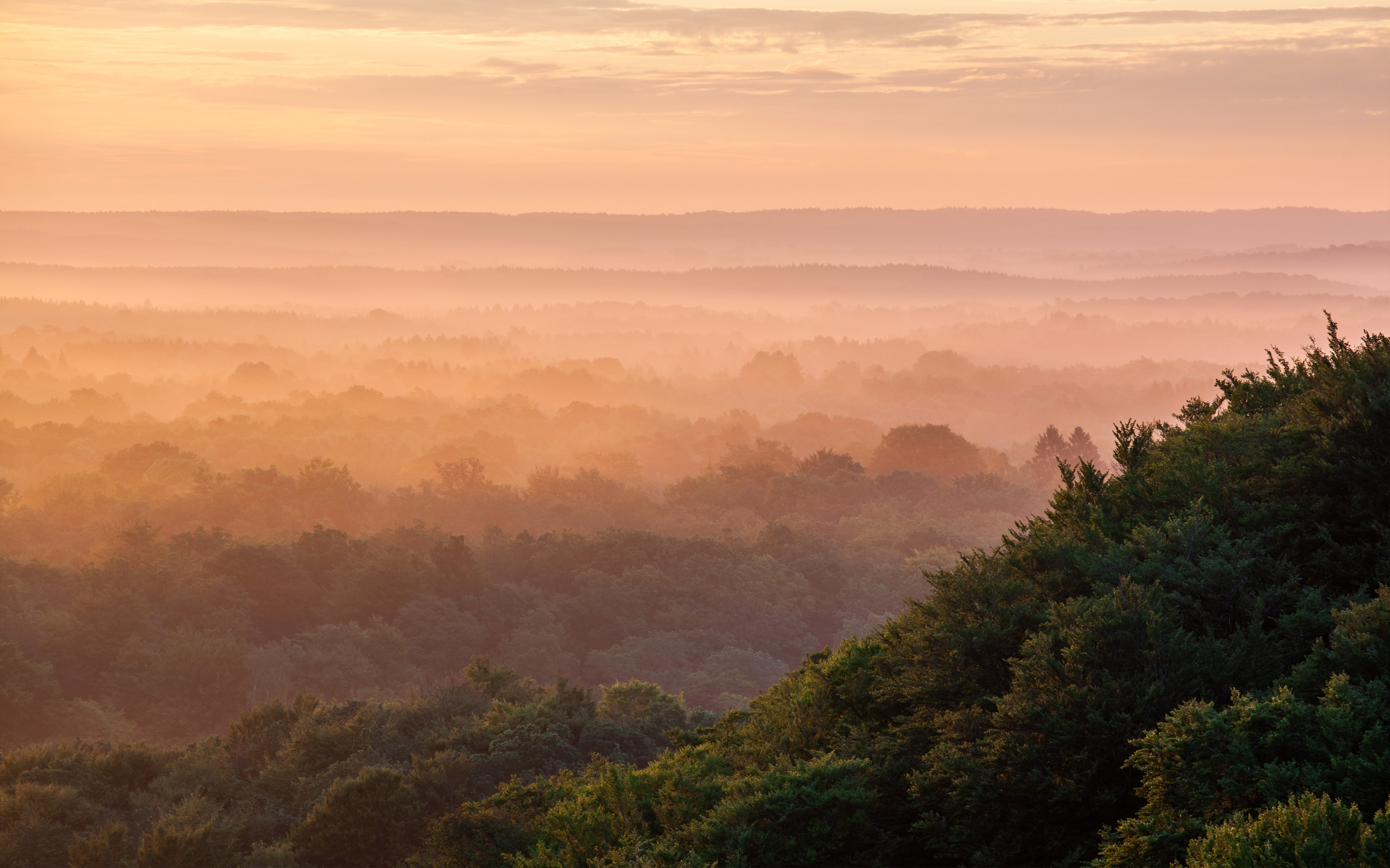 View overlooking forest in Soderasen Nationalpark