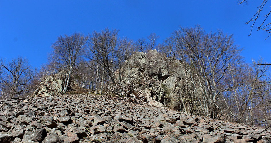 One of many skrees seen from below