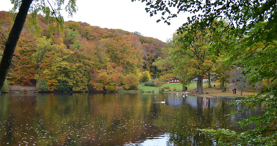 View over Skärdammen pond with trees in autumn colours