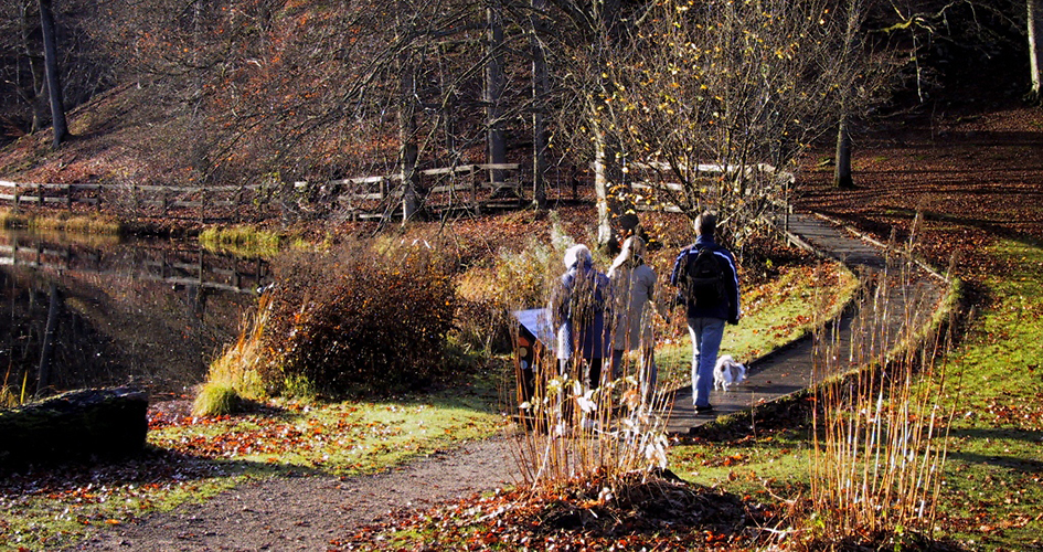 En höstig bild med ett par som går med en vit hund på naturstigen. En äldre dam läser på en informationstavla som står längsmed naturstigen. Stigen ringlar sig längs med vattnet och man ser träd i bakgrunden.