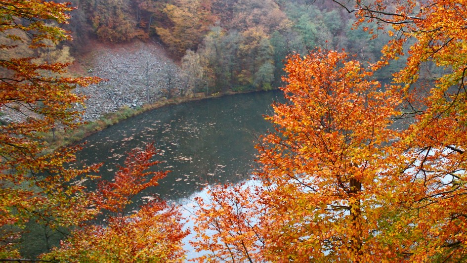 Atumn photo with Lake Odin from above and beech trees in autumn colours