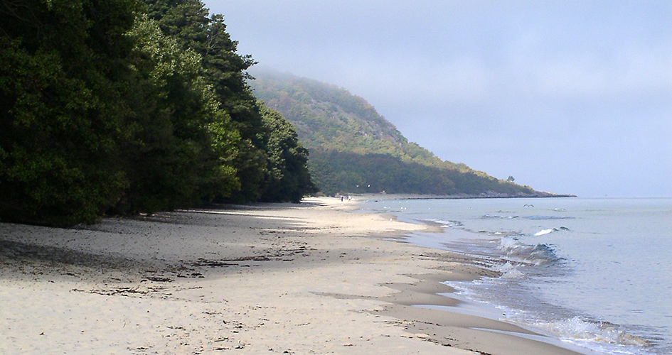 Platt sandstrand med träd och kullar till vänster och vågorna slår in från höger.