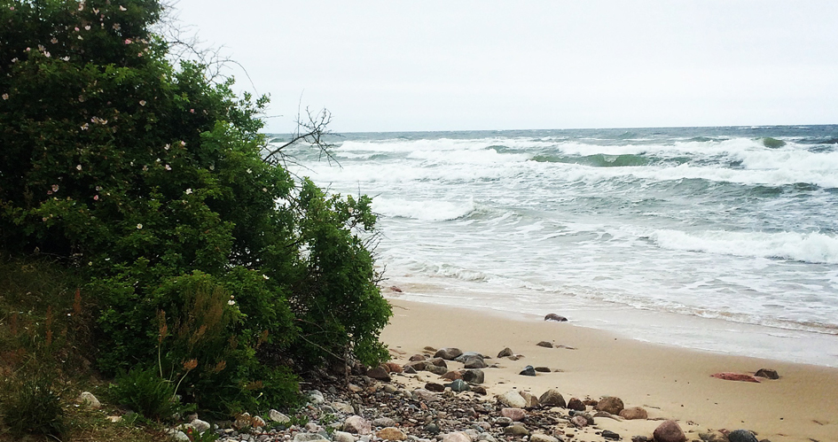 Sandstranden på Stenshuvud nationalpark.