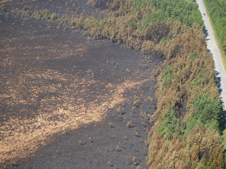 Flygbild över det brända området på mossen