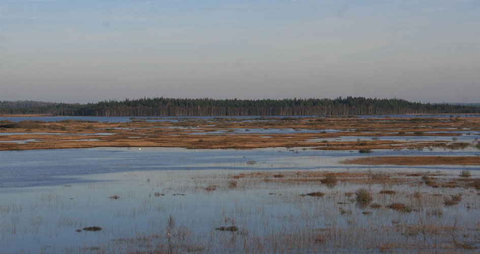 Utsikt över Kävsjön Store Mosse nationalpark