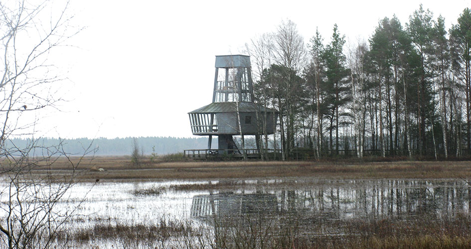 Stort fågeltorn med sjö framför.